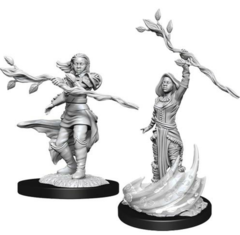 Human Druid - Female 90223 - D&D Nolzur's Marvelous Miniatures